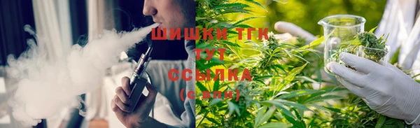 тгк Алзамай