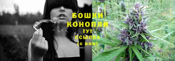 дурь Лабытнанги